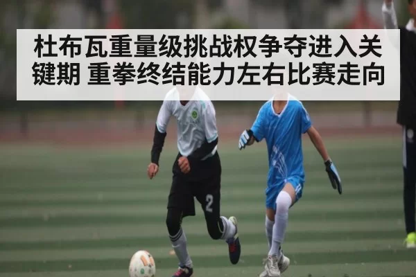 杜布瓦重量级挑战权争夺进入关键期 重拳终结能力左右比赛走向
